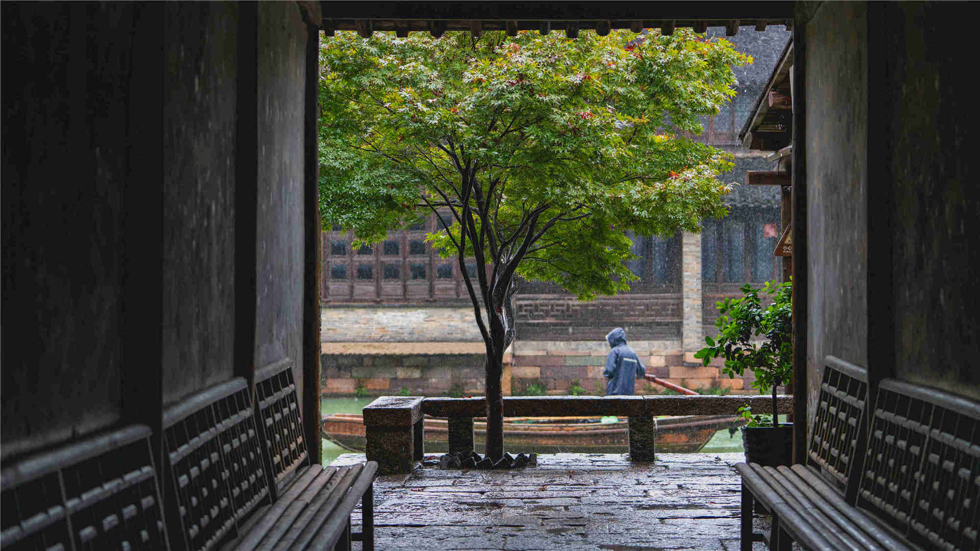 20210913西柵雨景 (8)_副本_副本_副本.jpg